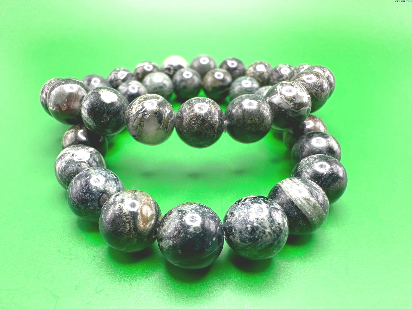 Kambaba Jasper