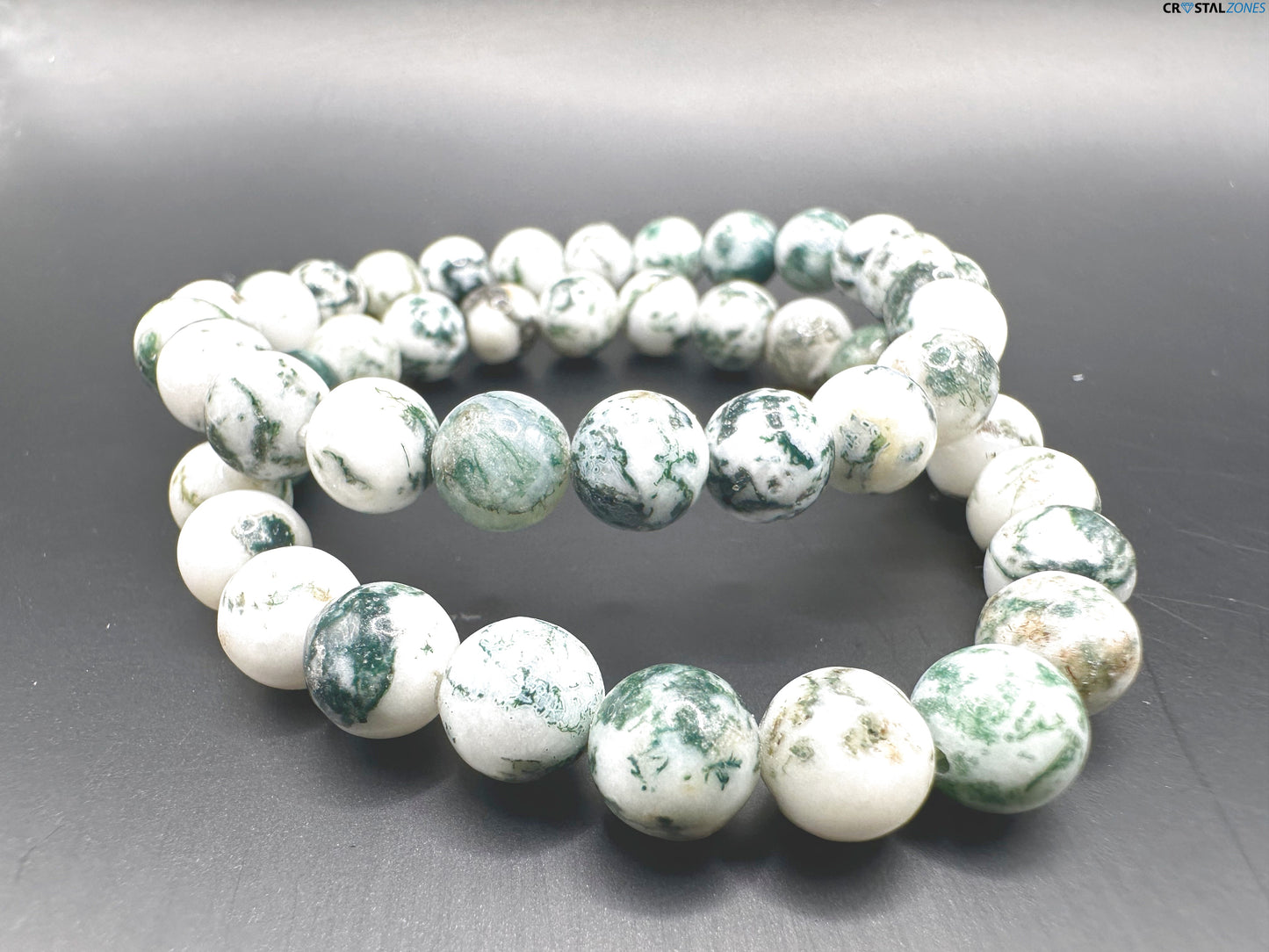 Tree Agate