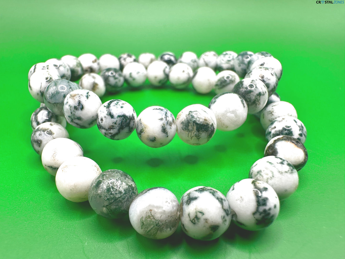 Tree Agate